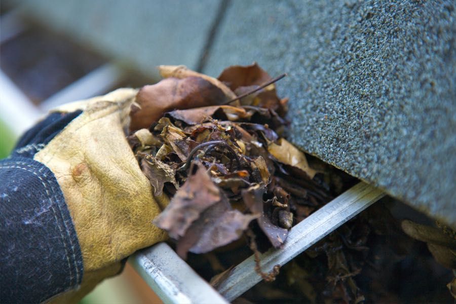 Gutter Cleaning